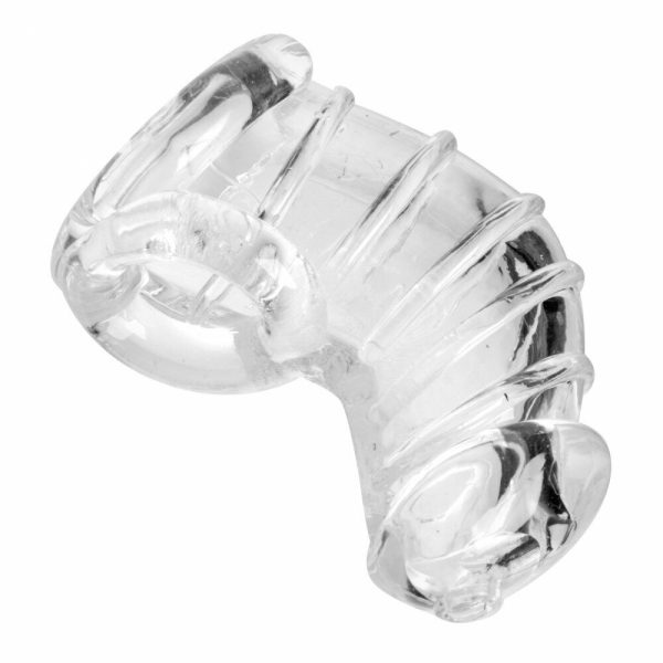 Detained Soft Body Chastity Cage - Image 4