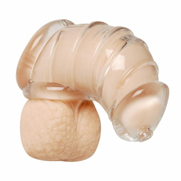 Detained Soft Body Chastity Cage - Image 2